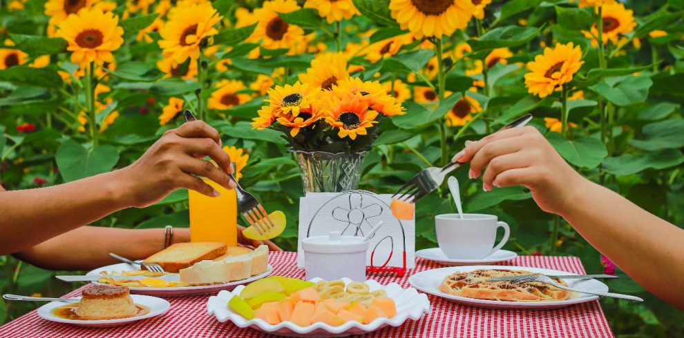 Desayuno Picnic Jardin de Girasoles Suut K'iin Lool